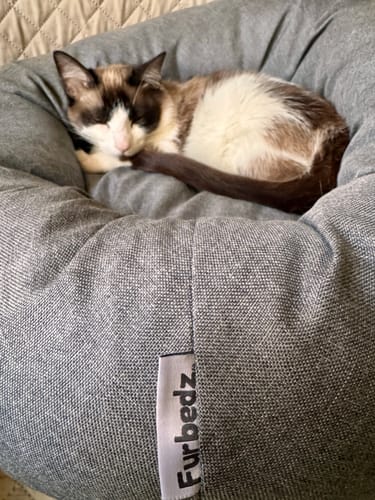 El gato de un cliente duerme acurrucado en la cómoda Funda Lino gris para Cama Antiestrés.