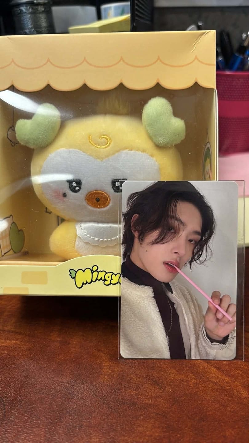 Customer photo review of ATEEZ - MIGHTEEZ WONDER FAIRY BABY PLUSH