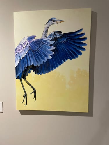 Customer photo review of Great Blue Heron
