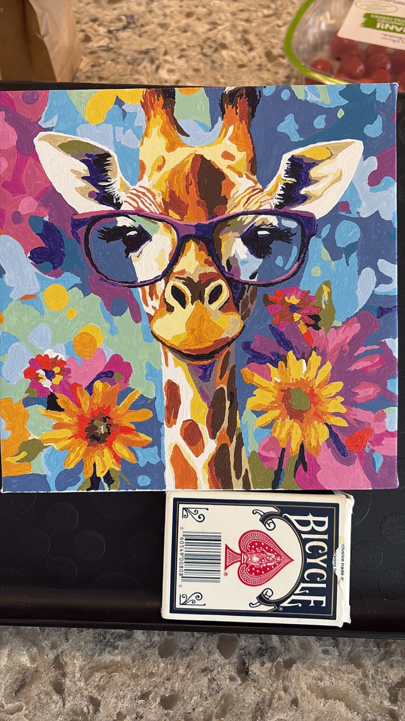 Customer photo review of Mini Paint by Number with Frame - Cool Giraffe with Flowers