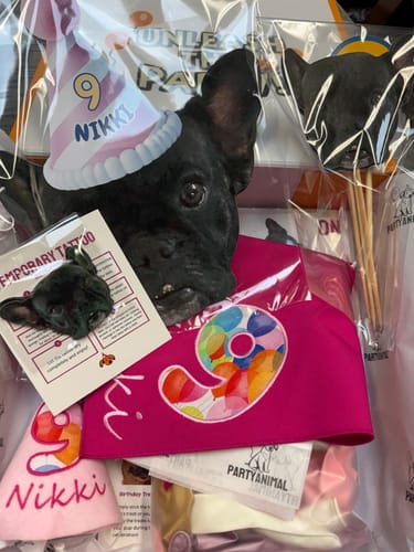 Customer photo review of Standard Personalized Dog Party Pack