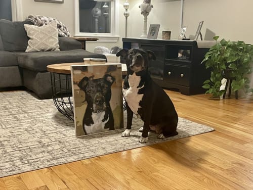 Customer photo review of Custom Paint By Numbers - Personalized Pet Portraits