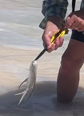 Customer photo review of Beyond Fishing 8.5” Long Nose Fishing Pliers