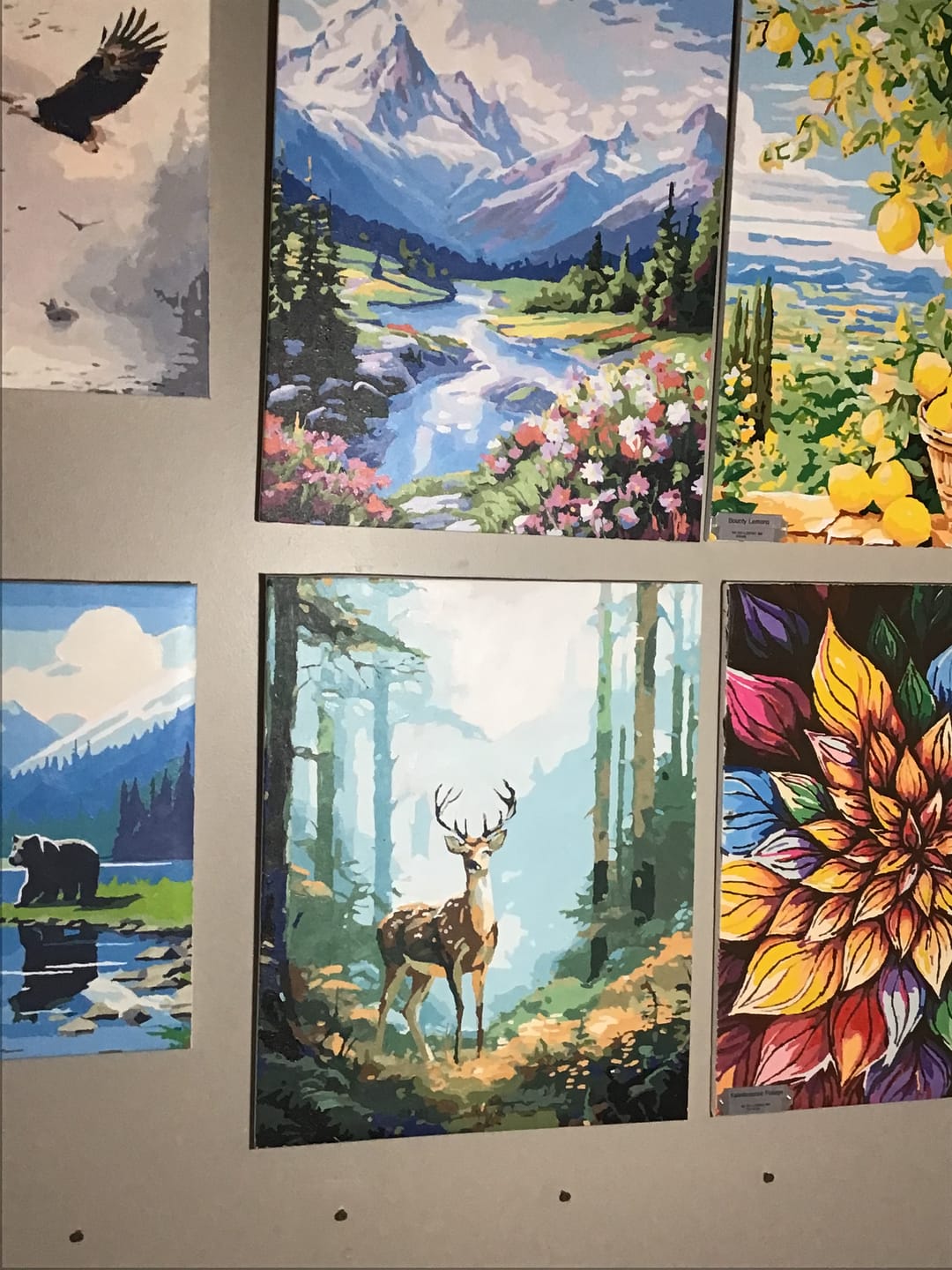 Customer photo review of Alpine River Splendor