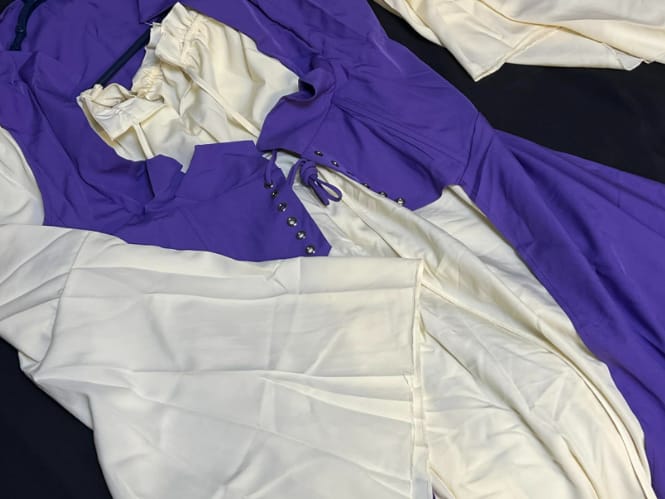 Customer photo review of Renaissance Medieval Dress 2-Piece Set
