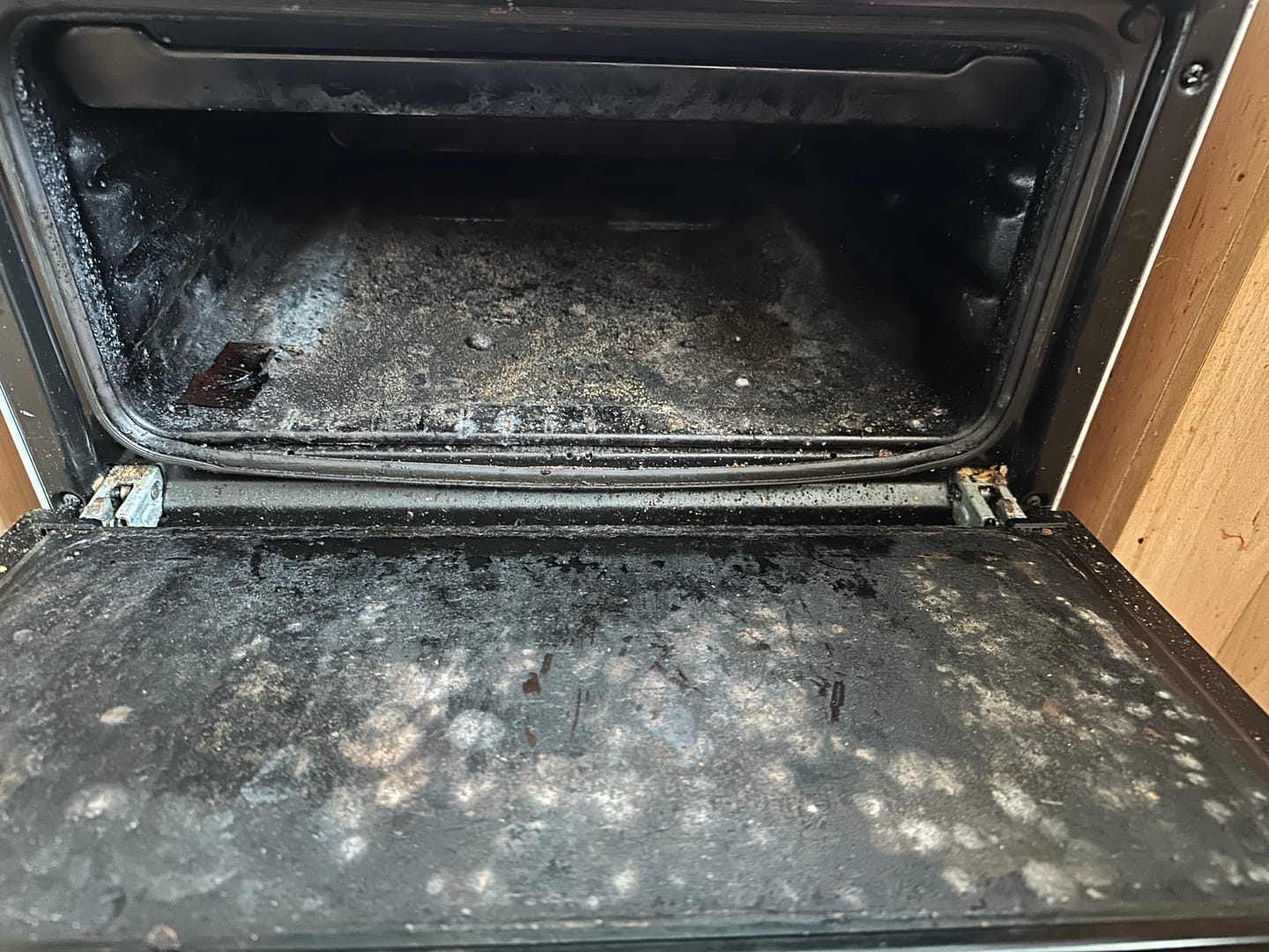 Customer photo review of Clean Ya Oven