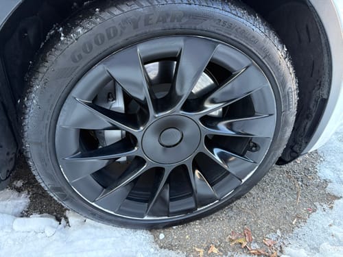 Customer photo review of Model Y Rim Protector for 21'' Uberturbine and 20'' Induction Wheel Ultimate Protection Refreshed Wheels(4 Pack)
