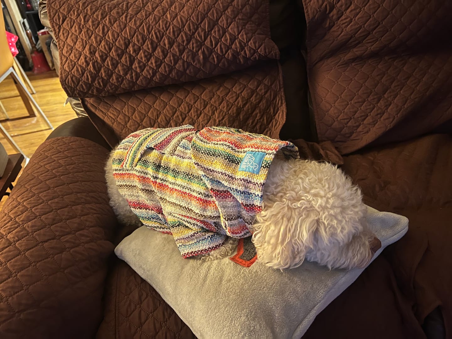 Customer photo review of Playa Poncho – Mystery Color (Bella, Charlie, or Fun Edition)