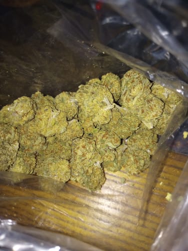 Customer photo review of Georgia Pie - Bulk - Indica