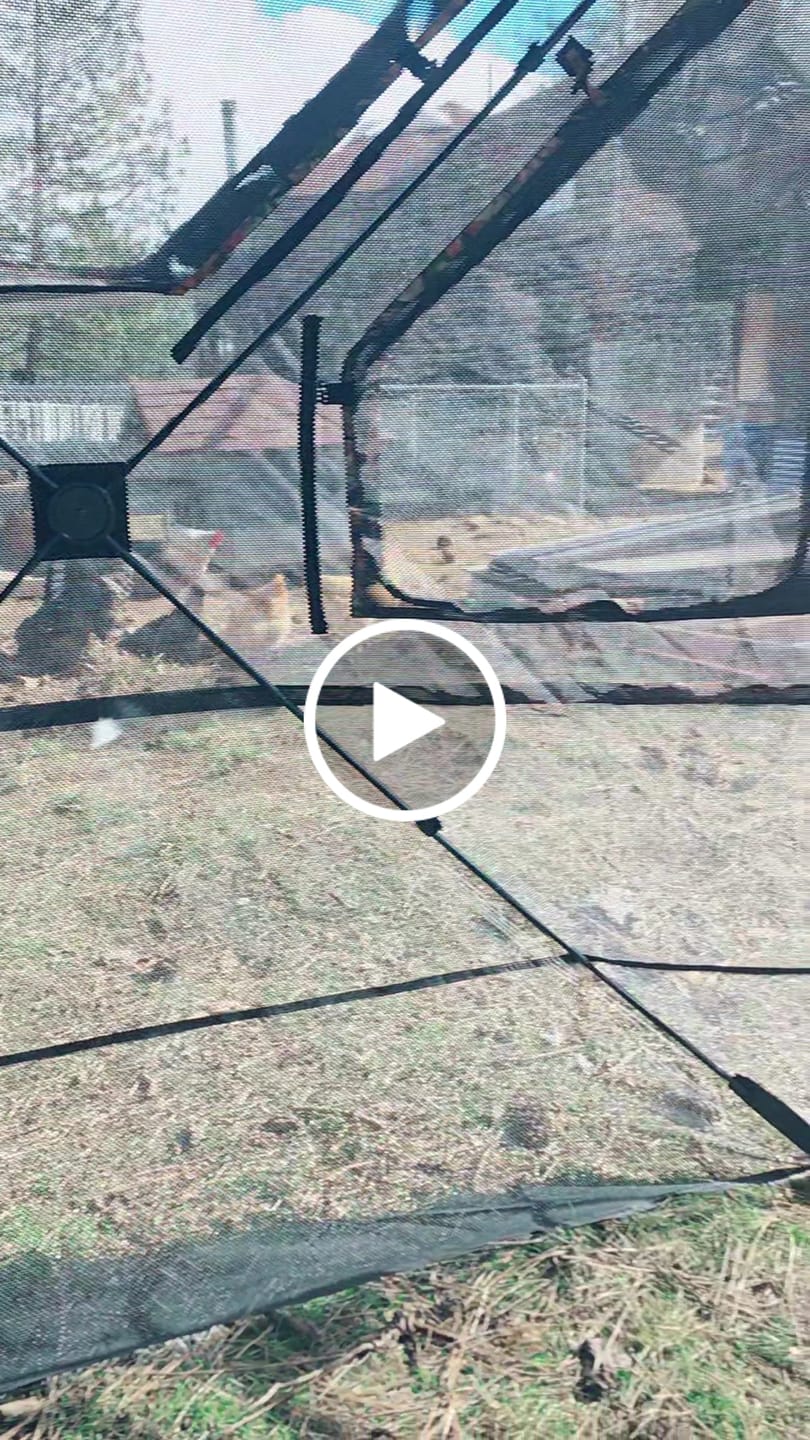 Customer video review of Tidewe Vis360 See-Through Ground Blind for Deer/ Turkey Hunting (3-4 Person)