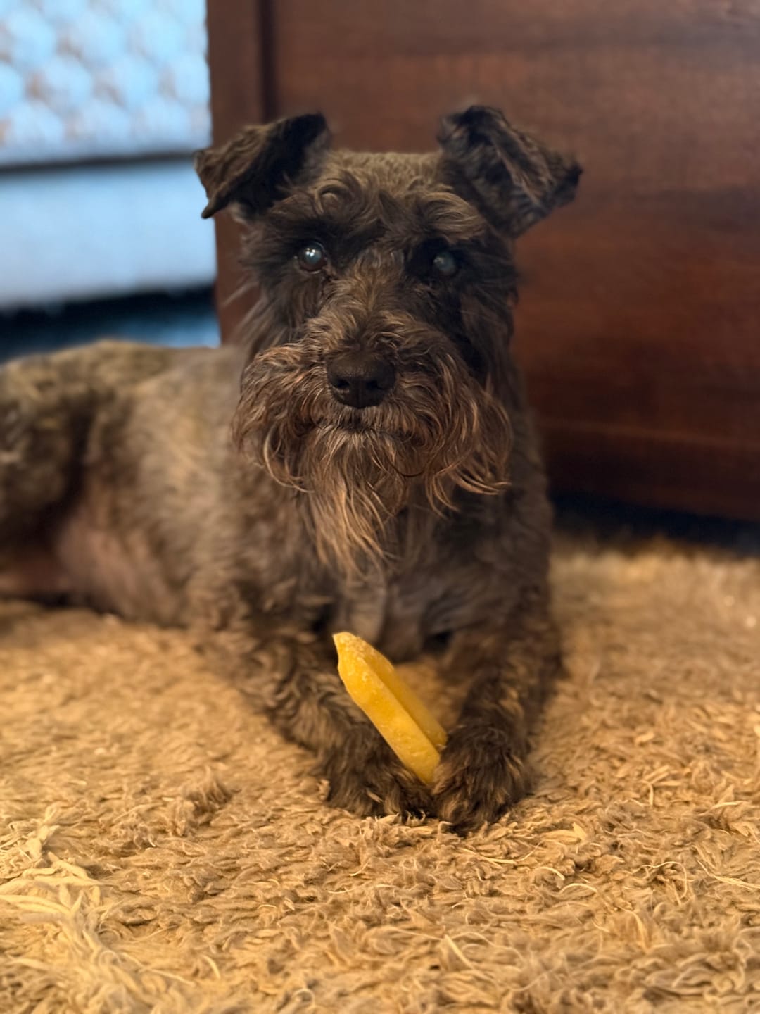 Customer photo review of Banana Yak Chews
