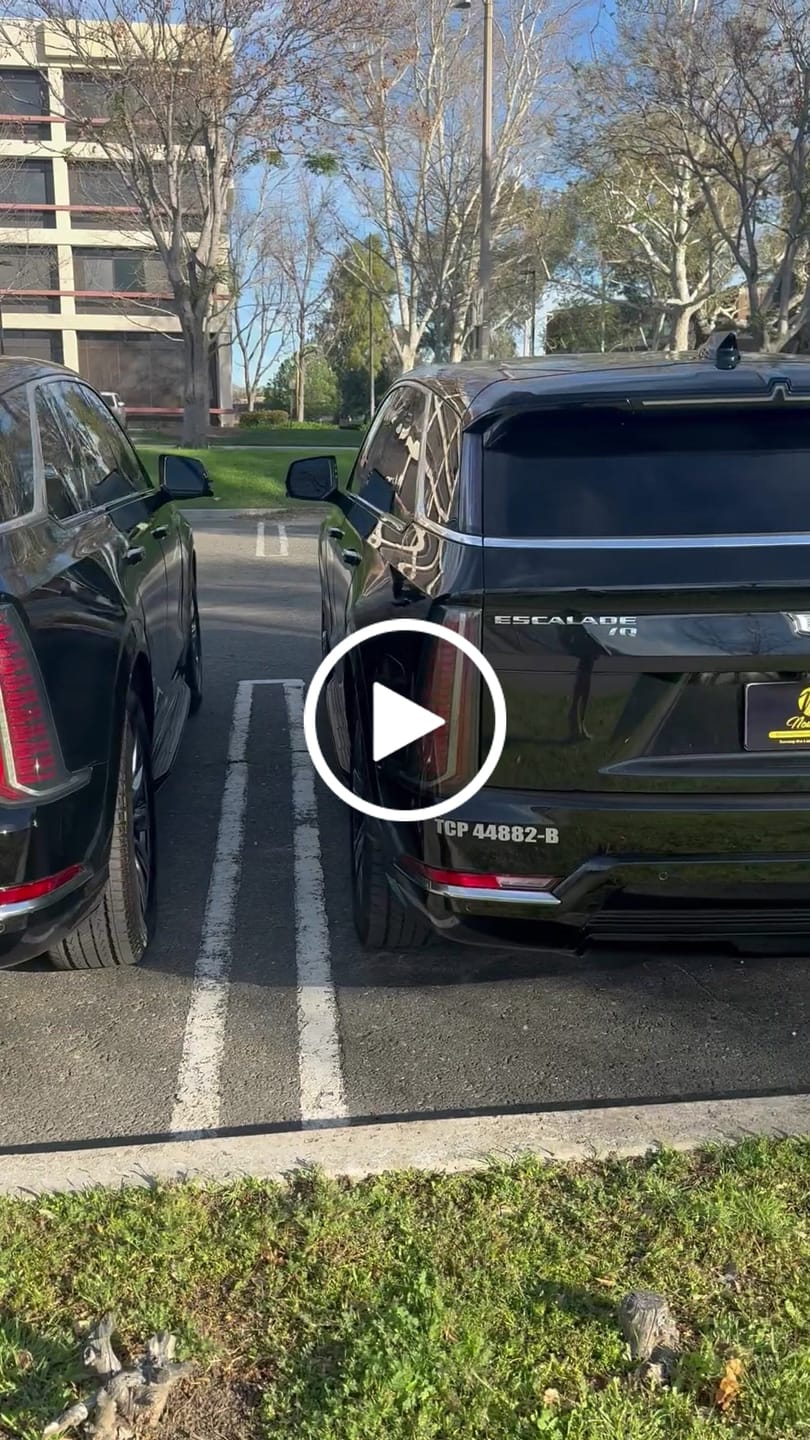 Customer video review of Create Your Own Custom Magnetic License Plate Cover