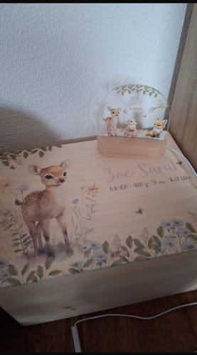 Ein Kunde zeigt die personalisierte Erinnerungsbox Baby mit Rehmotiv neben einem passenden Nachtlicht.