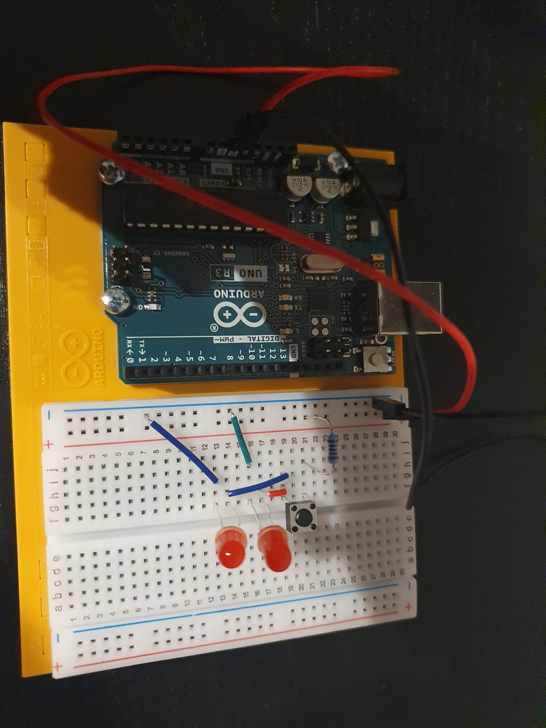 Customer photo review of Arduino Starter Kit Multi-Language