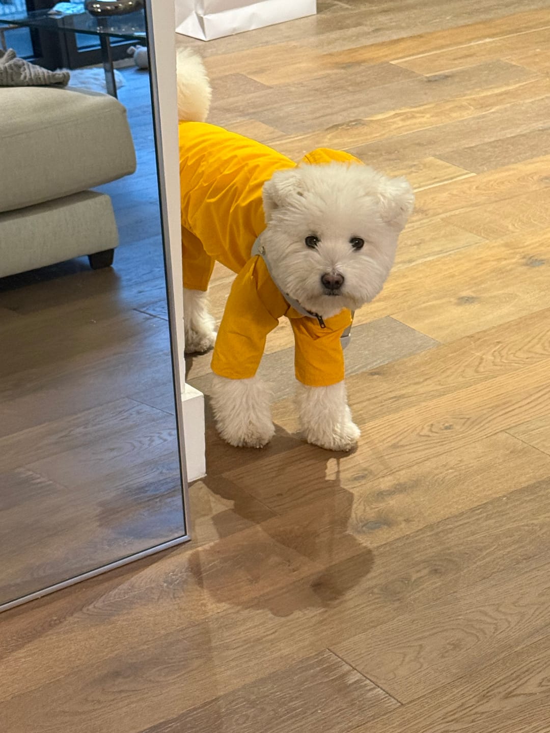 Customer photo review of Nylon Coverall