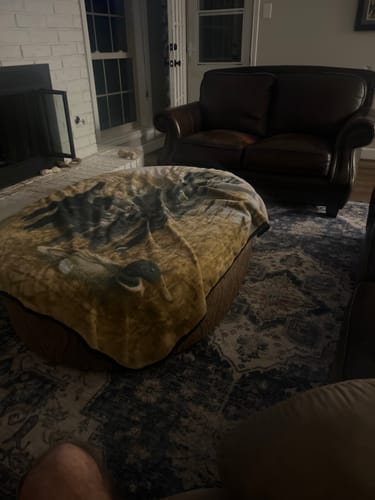 Customer photo review of Selene Washable Area Rug - Blue/Beige