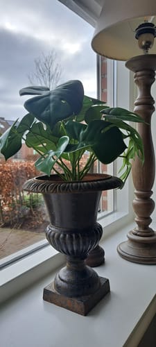 Customer photo review of Monstera Kunstplant 30cm