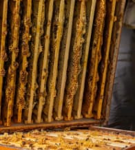 Customer photo review of BeeCastle Hives 10 Frame 4 Layer Complete Cedar Wood Beehive Kit:Designed with 2 Deep Beehive Boxes and 2 Super Bee Boxes,with Premium Wooden Frames and Beeswax Plastic Foundation