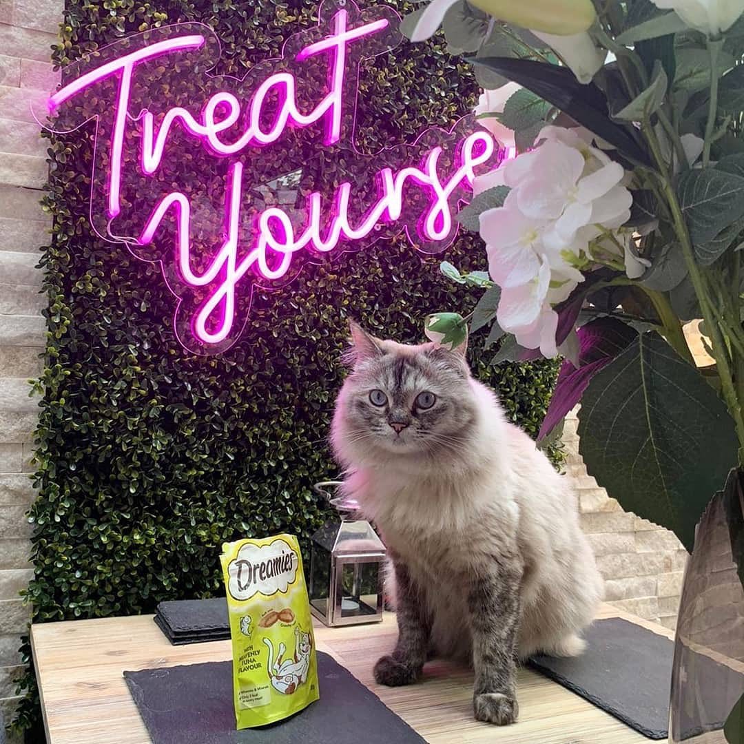 Customer photo review of Custom Neon Sign