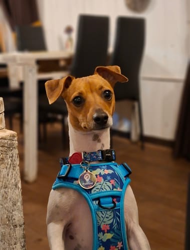 Customer photo review of Explorer Pack Tropical Blossom