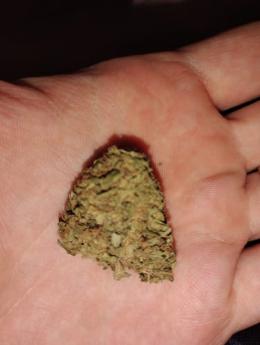 Customer photo review of Donut Diesel | THCA Flower