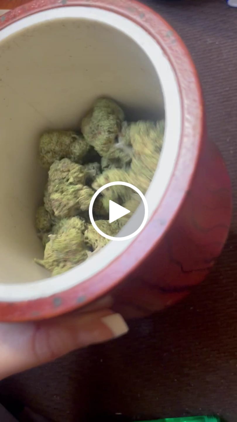 Customer video review of Purple Push Pop -THCa Flower