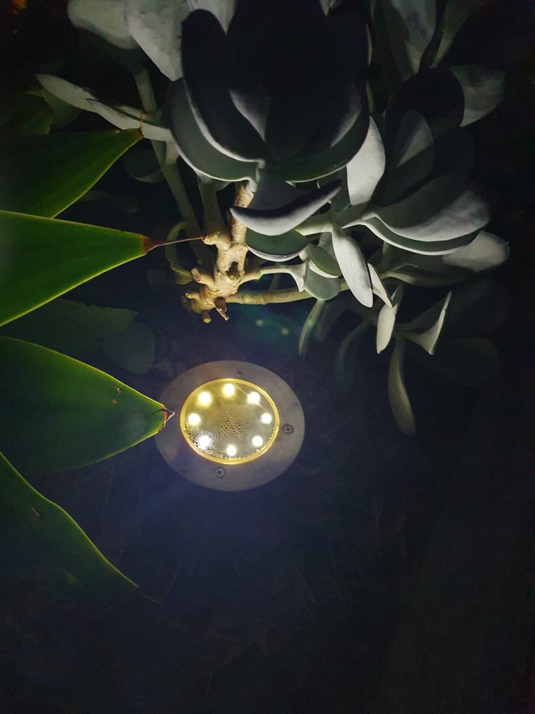 Customer photo review of SolaGarden™ LED Ground Light Pack