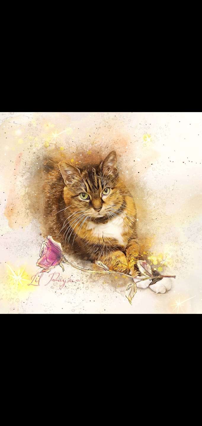 Customer photo review of Pet Art Canvas Print