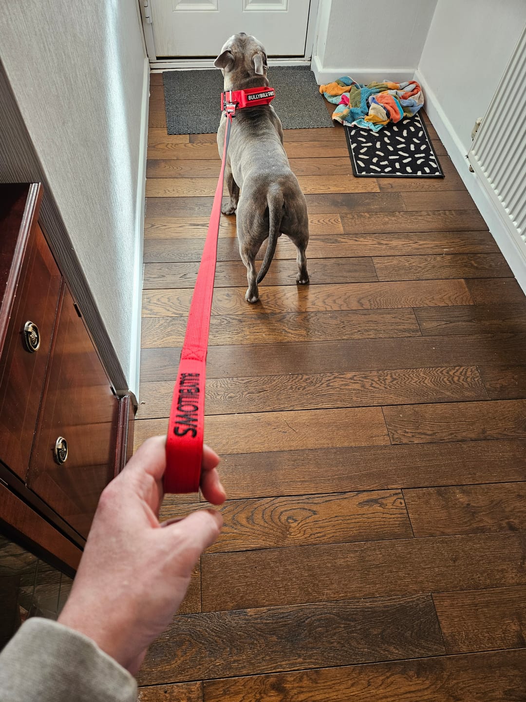 Customer photo review of 1.4m Swivel Combat Lead | Anti-Tangle & Secure Clip - Red