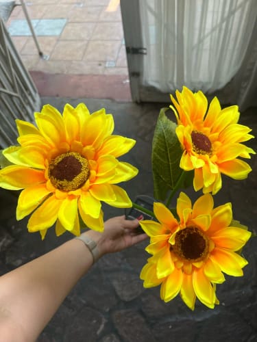 Customer photo review of BlumenLicht