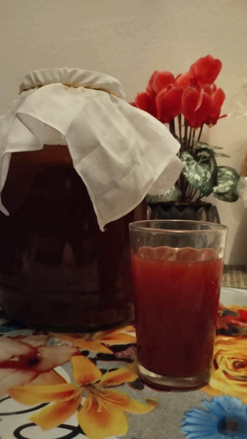 Customer photo review of BIO Kombucha Starter-Set