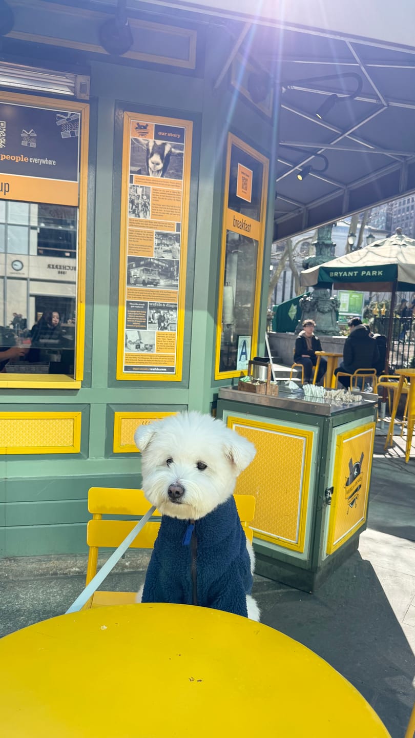 Customer photo review of Monkey Fleece Jacket