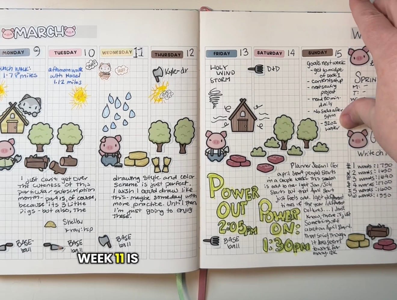Customer photo review of Planner Subscription