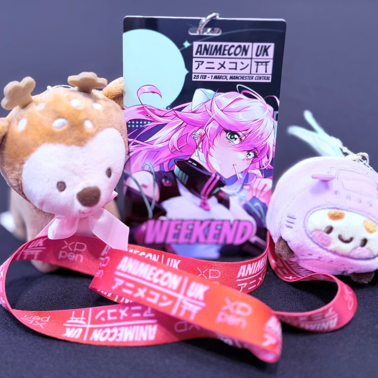 Customer photo review of Bumblebutt Space Bee Plush Keychain | Cute Kawaii Bee Bag Charm