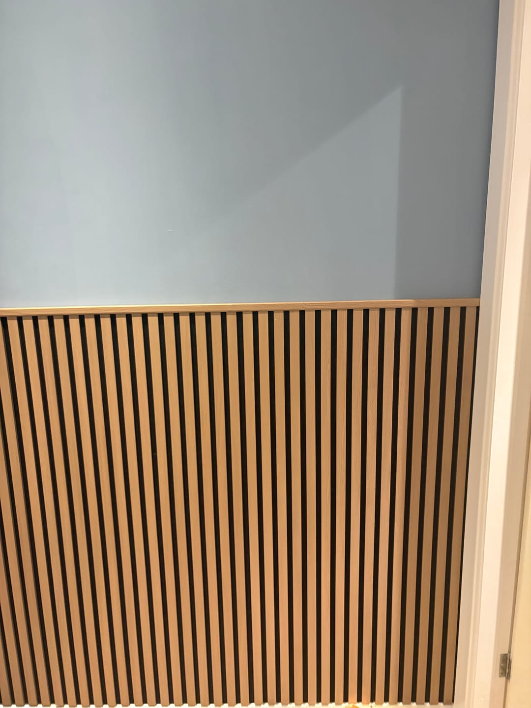 Customer photo review of Pack of x10 Drywall Acoustic Wall Panel Screws
