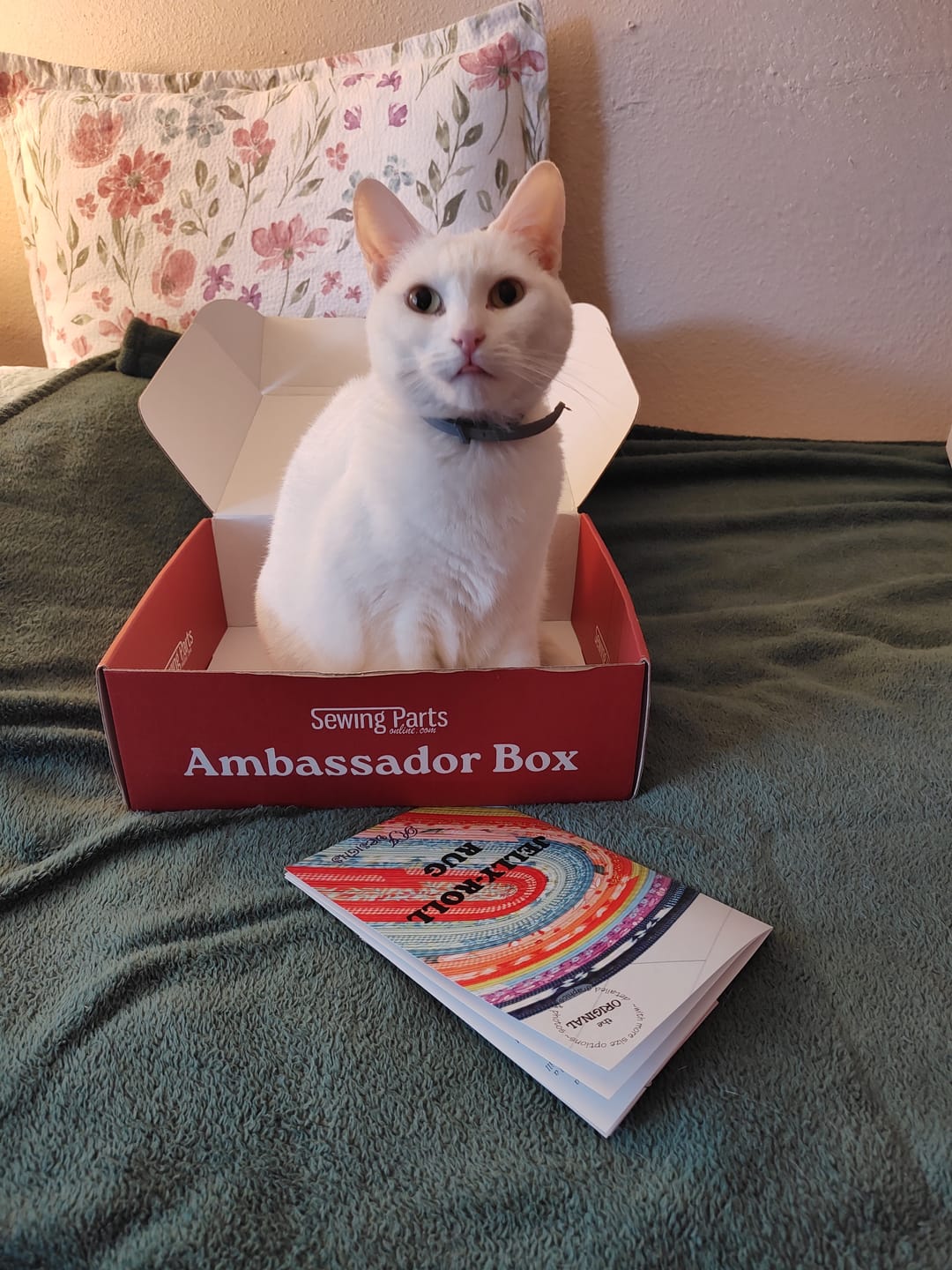 Customer photo review of Uniquely Mateo Ambassador Box
