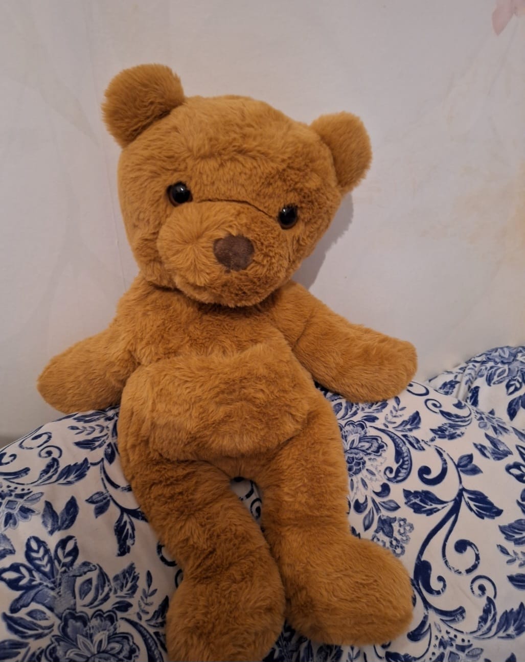 Customer photo review of Verzwaringsknuffel Beer 2,2 kg + Gratis Pittenzakje