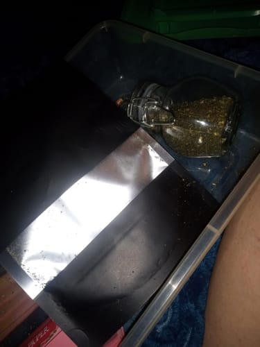 Customer photo review of Sugar Shake - 1oz