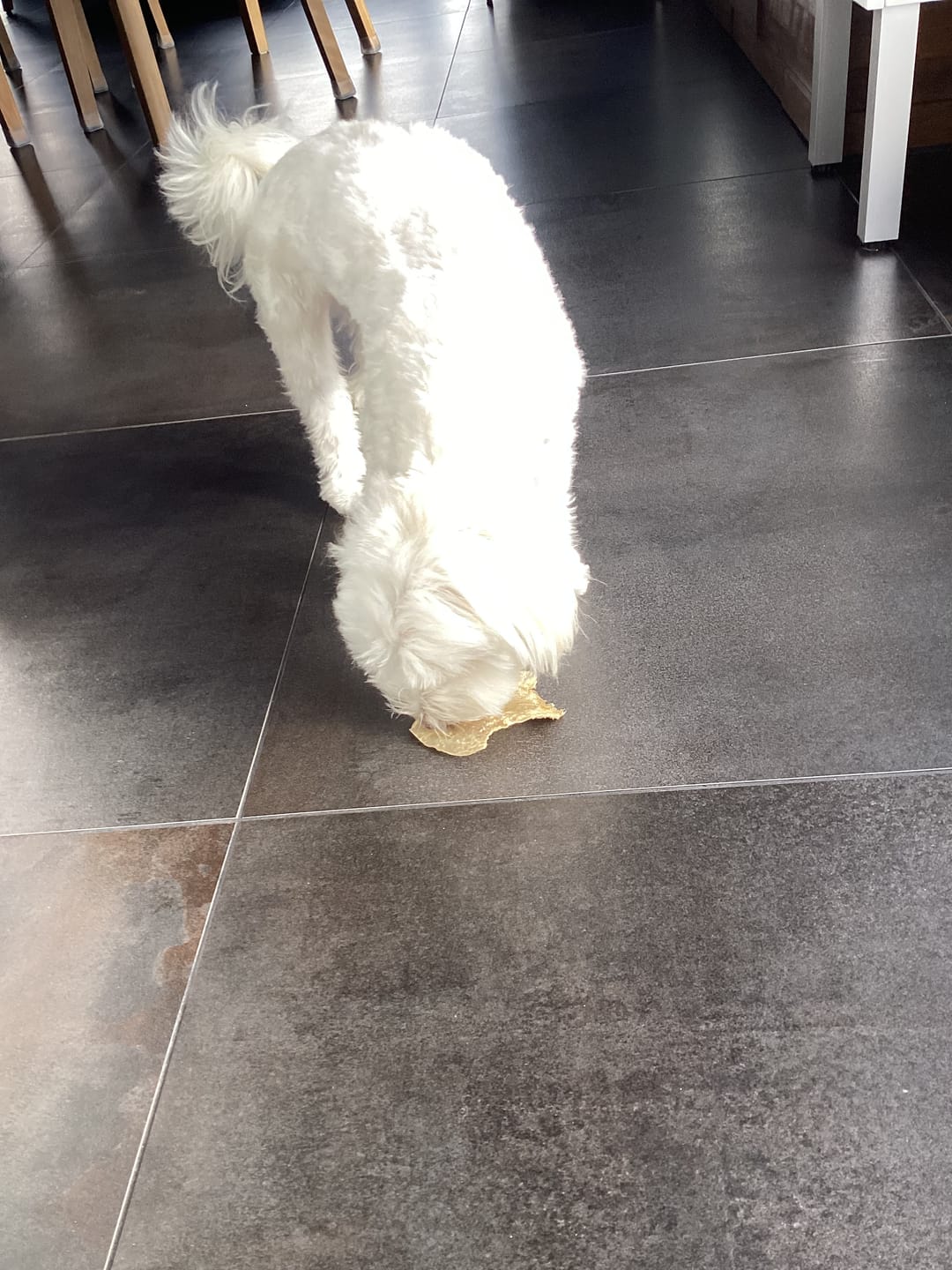 Customer photo review of Vrac Nature's Own - Oreille de Boeuf pour chien