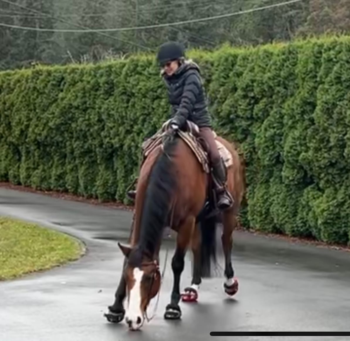 Customer photo review of Renegade® Viper Shield™ Hoof Boot Seconds - Black Knight