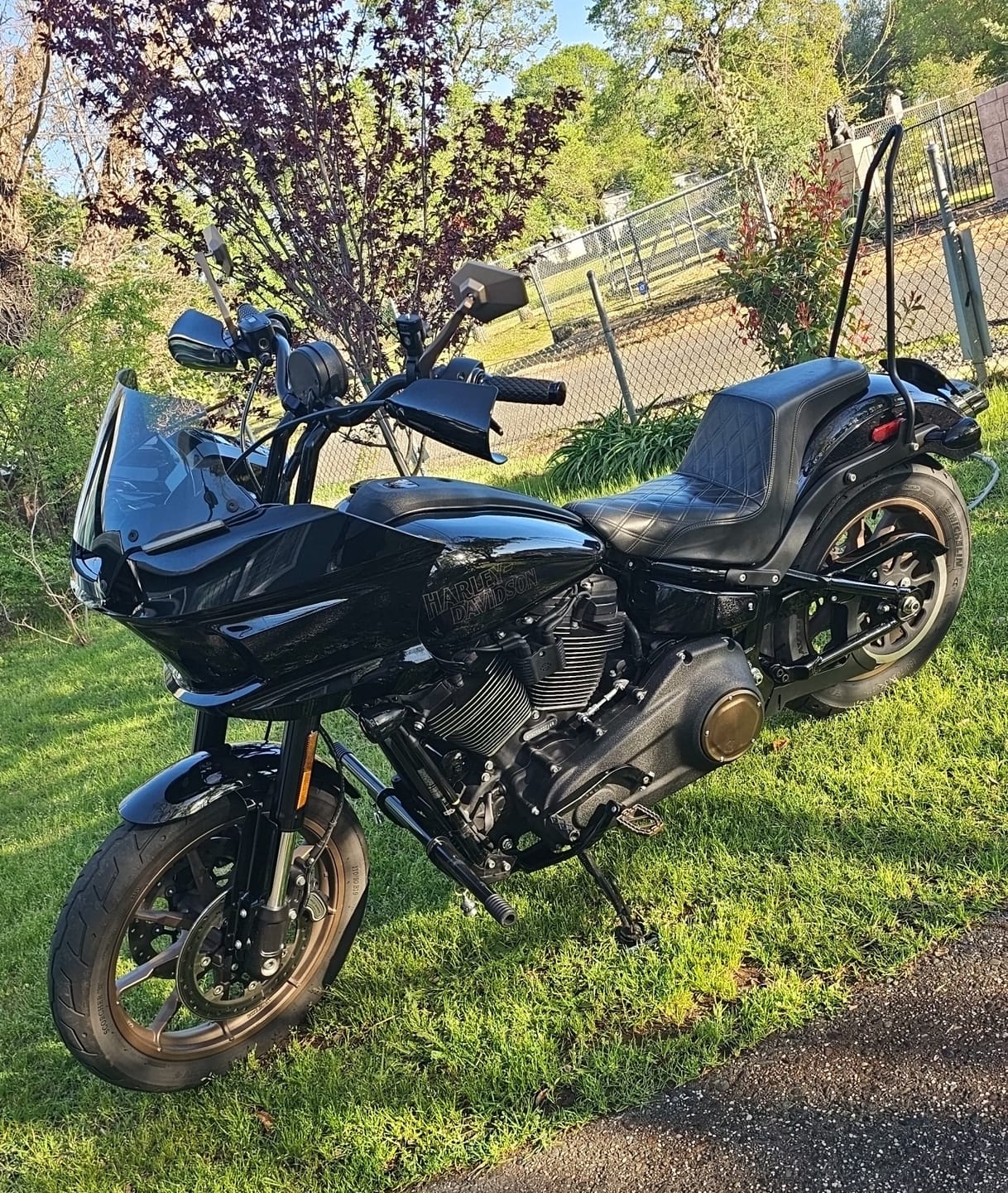 Customer photo review of Iron Born Blade 25" Sissy Bar for Harley Softail Low Rider S FXLRS Matte Black