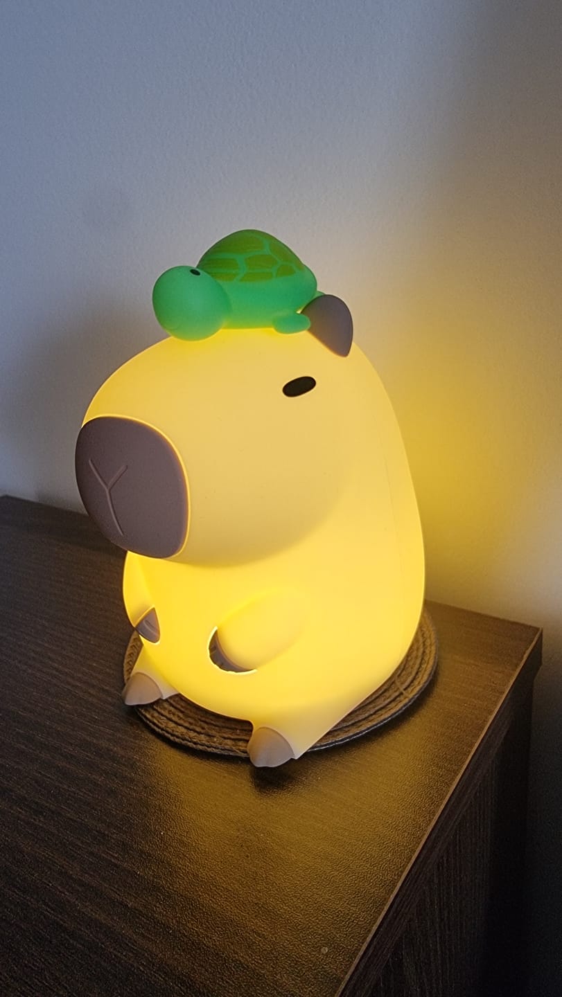 Customer photo review of MeWaii® Capybara With Turtle LED Squishy Night Light For Gift USB Rechargeable Capybara Lamp
