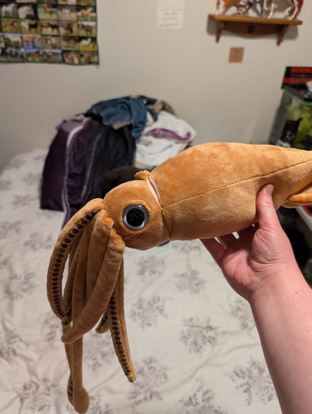 Customer photo review of Architeuthis Giant Squid Soft Stuffed Plush Toy