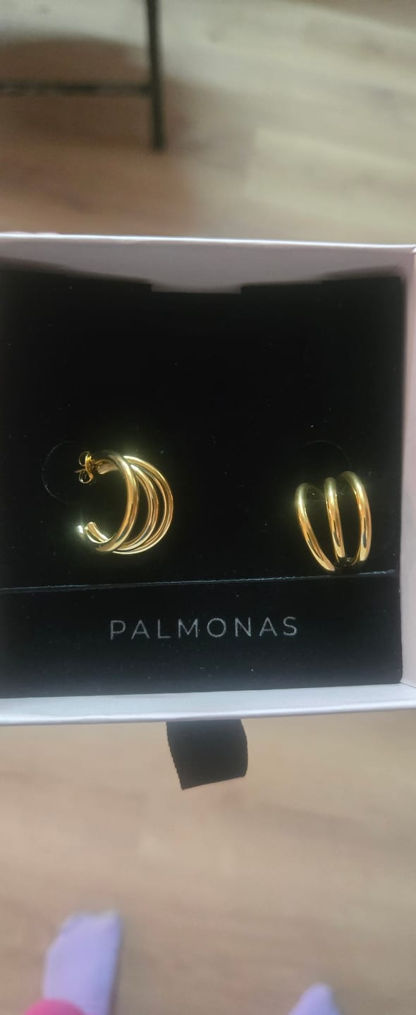 Customer photo review of Triple Circle Hoop Earrings