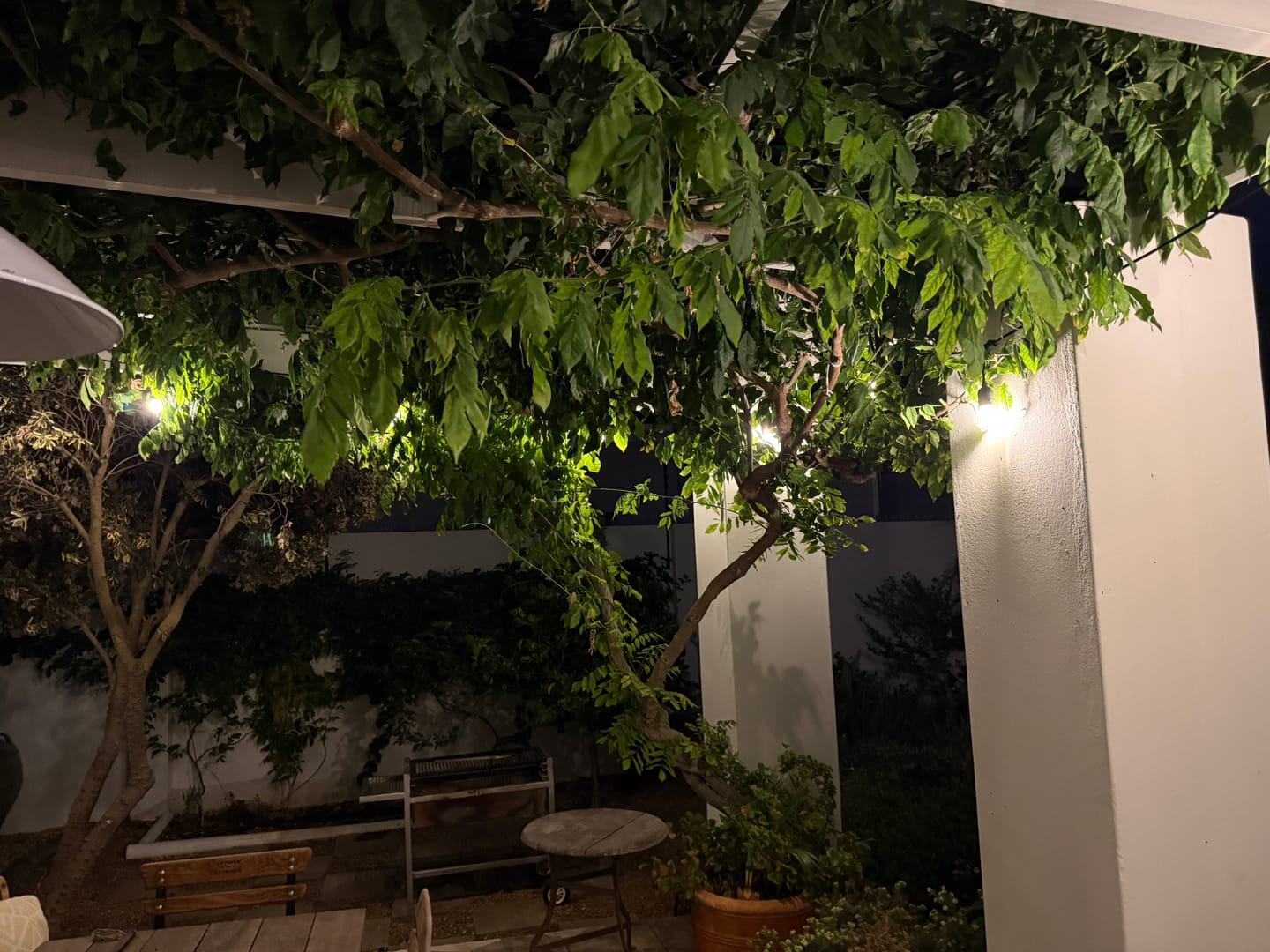 Customer photo review of Plug-In Festoon Bulb String Lights