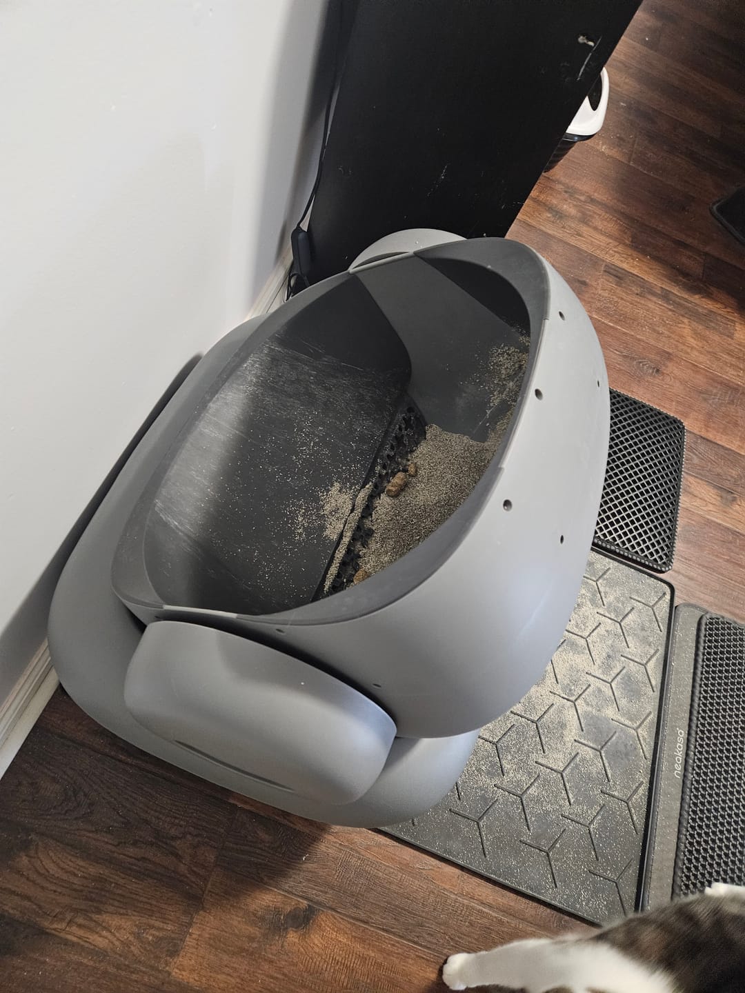 Customer photo review of Neakasa M1 Plus Open Top Self-Cleaning Cat Litter Box