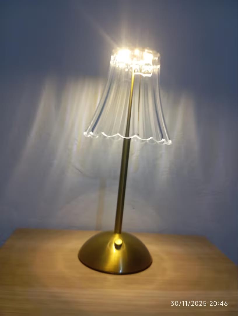 Customer photo review of Modern Cordless Table Lamp