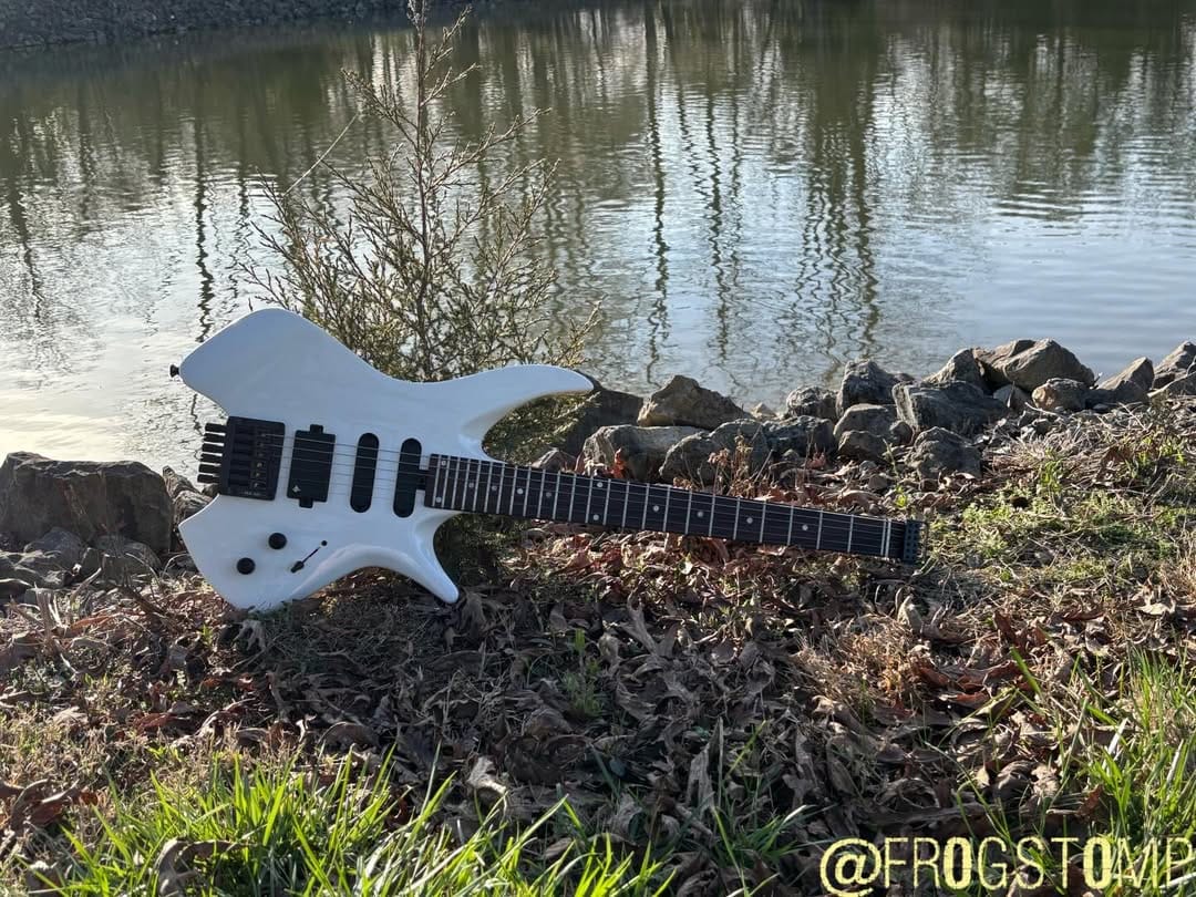 Customer photo review of Donner HLX-500 Guitare Électrique Moderne Sans Tête【ancienne réf. NHL-500】
