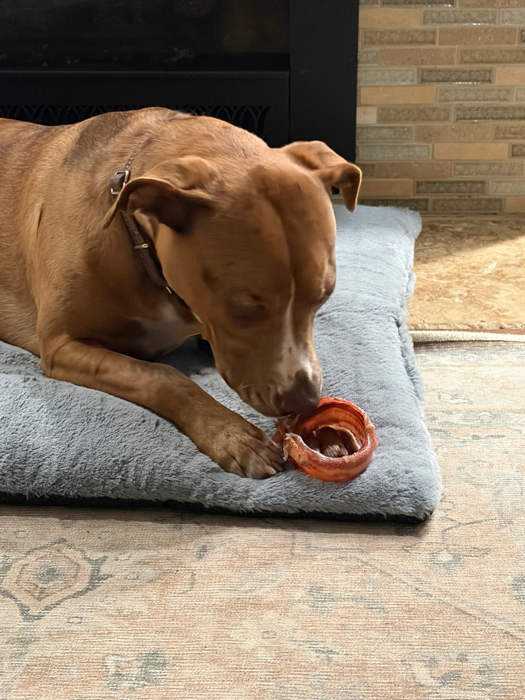 Customer photo review of Small Bully Stick Ring