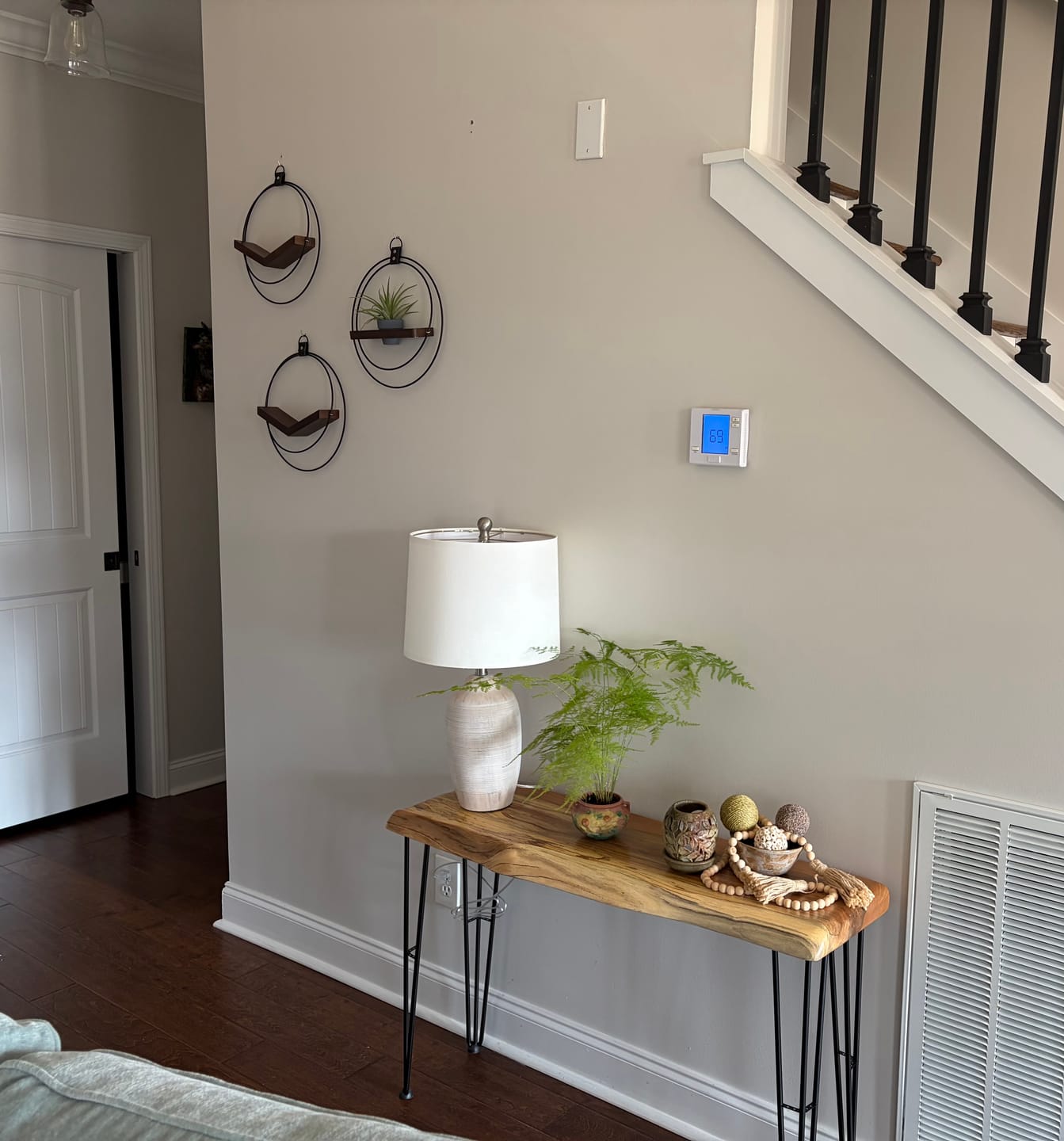 Customer photo review of Air Plant V-Hanger